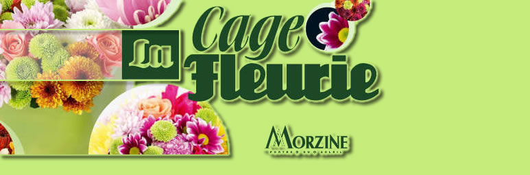 Fleurs Morzine La Cage Fleurie